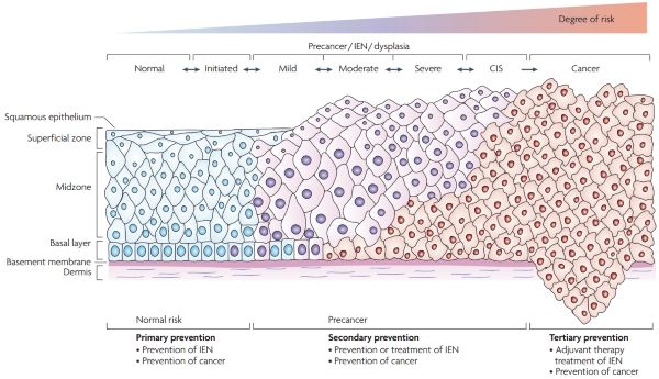 660eb0c3-dd86-49c5-8d0d-22542561a79d.png.jpg