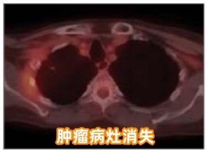 d0b38ff7-eac4-49c5-b1b9-edb728761647.png.jpg