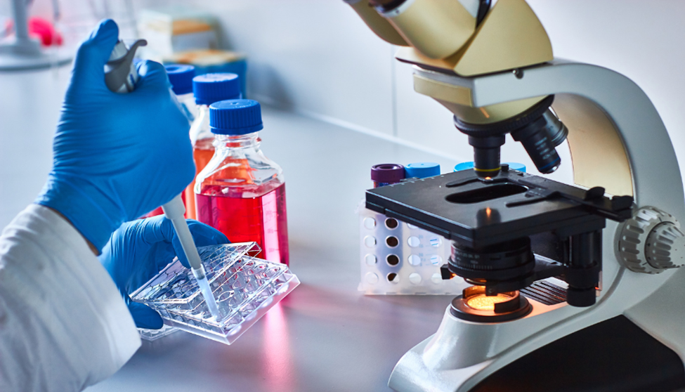 Diagnosis of Cervical Cancer