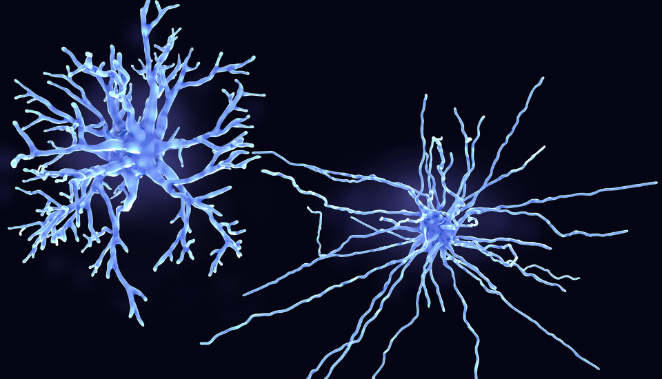 a7403046-151b-45e6-9f94-4936d0dfa181.png.png
