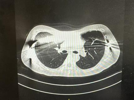 图片14.png 255dd4df-3465-4f12-9569-b231771bb082.png.png