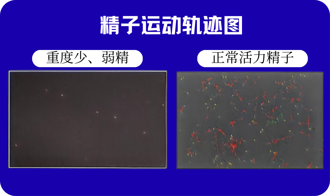270958a9-fa07-4285-892f-a7e13ada420f.png.png