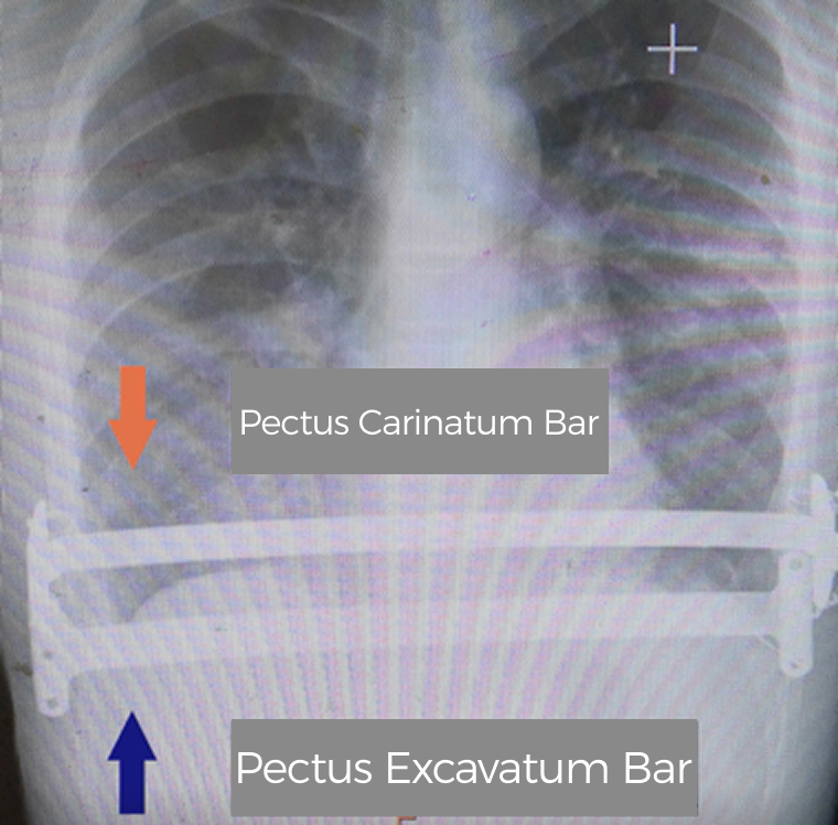 Group 1312319168.png Group 1312319168.png