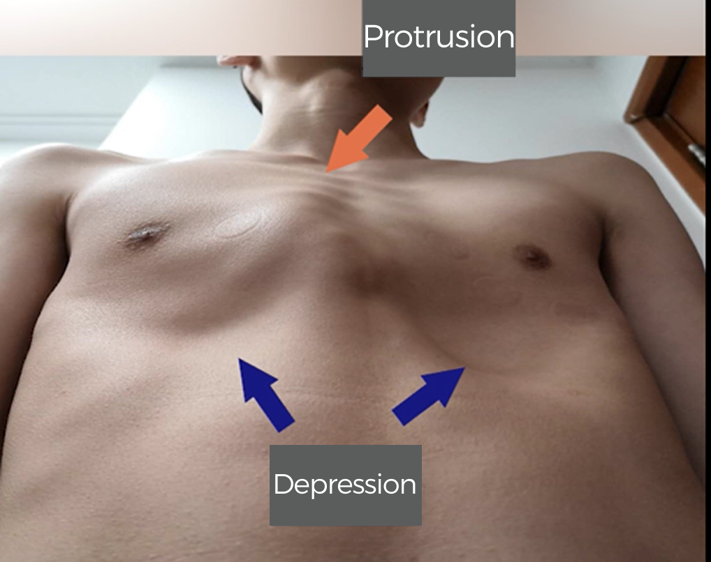 Group 1312319167.png 77fc203b-9e55-4dca-86e4-0acd494abc20.png.png