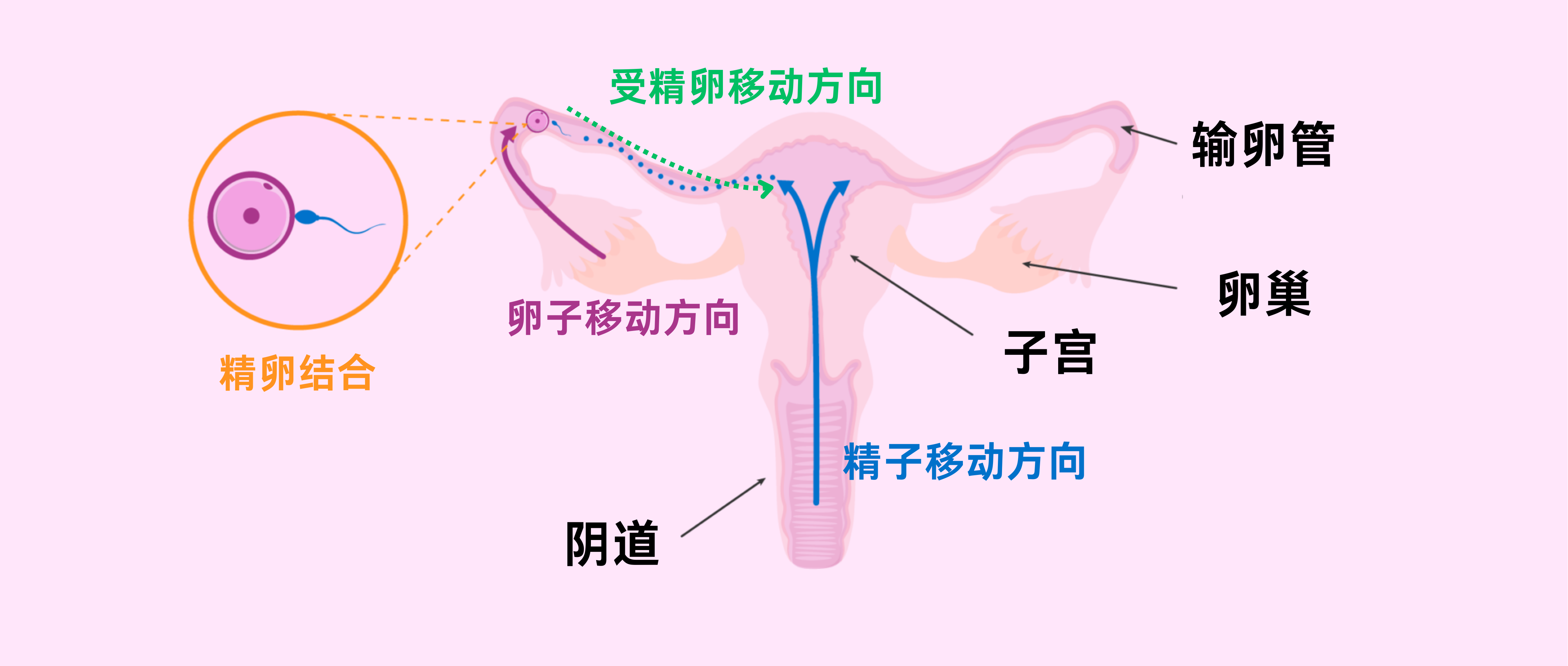 cdc29e51-b696-469a-a34e-9050cddb996a.png.png