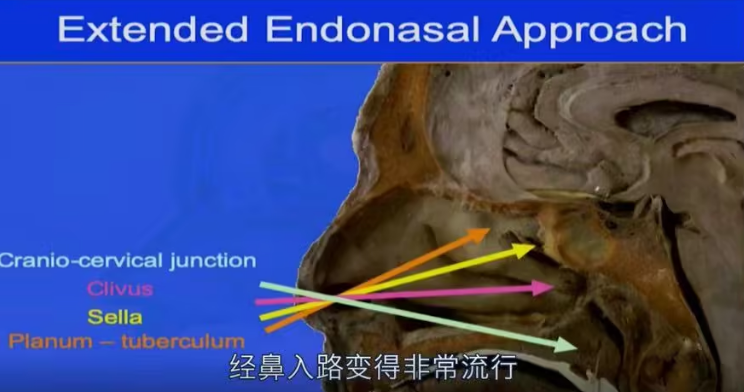 image.png 6241c4fc-e46e-4c7d-907d-ec5f175df6ee.png.png