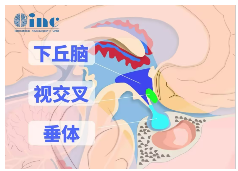 8c1831dd-6d49-485e-93c8-6baeead7e133.png.png